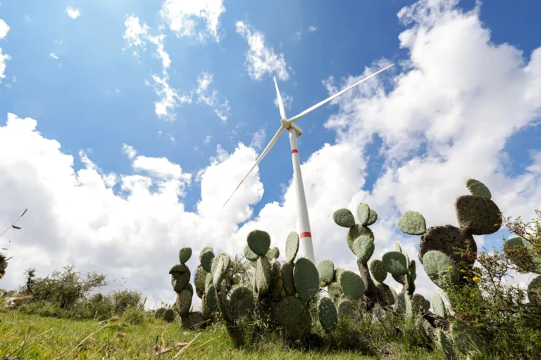 A large windmill towers over a group of cacti generating clean energy so the community can benefit.